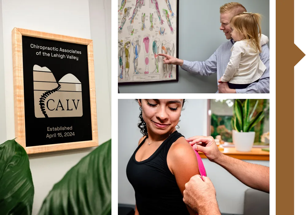 Chiropractor Allentown PA Jeff Smee Nicks Grid Adjusting Patients Grid Chiropractor Allentown PA Jeff Smee Nicks Grid Adjusting Patients Grid